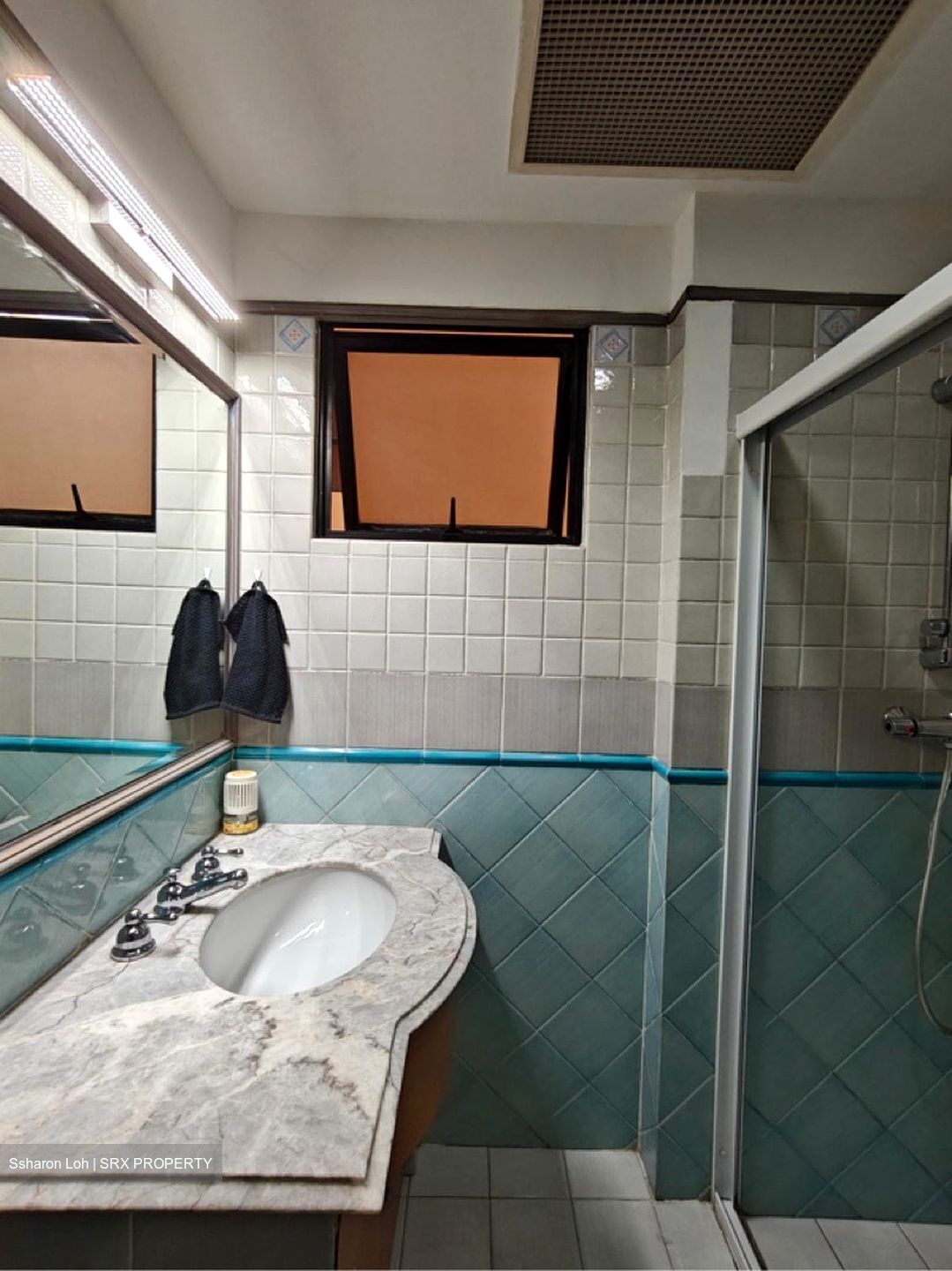 Dover Parkview (D5), Condominium #594597341